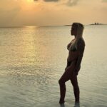 Fanny Rodrigues Instagram - 🐢: 𝑂 𝑚𝑎𝑖𝑜𝑟 𝑒𝑛𝑠𝑖𝑛𝑎𝑚𝑒𝑛𝑡𝑜 𝑑𝑎 𝑡𝑎𝑟𝑡𝑎𝑟𝑢𝑔𝑎 é: 𝑚𝑒𝑠𝑚𝑜 𝑞𝑢𝑒 𝑑𝑒𝑣𝑎𝑔𝑎𝑟, 𝑠𝑖𝑔𝑎 𝑒𝑚 𝑓𝑟𝑒𝑛𝑡𝑒… 𝑜 𝑖𝑚𝑝𝑜𝑟𝑡𝑎𝑛𝑡𝑒 é 𝑎 𝑝𝑒𝑟𝑠𝑖𝑠𝑡ê𝑛𝑐𝑖𝑎! 𝐸𝑠𝑠𝑒 𝑎𝑛𝑖𝑚𝑎𝑙 é 𝑢𝑚𝑎 𝑐𝑟𝑖𝑎𝑡𝑢𝑟𝑎 𝑞𝑢𝑒 𝑡𝑟𝑎𝑛𝑠𝑚𝑖𝑡𝑒 𝑠𝑎𝑏𝑒𝑑𝑜𝑟𝑖𝑎 𝑝𝑜𝑖𝑠, 𝑖𝑛𝑠𝑡𝑖𝑛𝑡𝑖𝑣𝑎𝑚𝑒𝑛𝑡𝑒, 𝑠𝑎𝑏𝑒 𝑎 ℎ𝑜𝑟𝑎 𝑑𝑒 𝑠𝑒 𝑟𝑒𝑐𝑜𝑙ℎ𝑒𝑟 𝑜𝑢 𝑑𝑒 𝑠𝑒 𝑎𝑡𝑖𝑟𝑎𝑟 𝑒𝑚 𝑢𝑚𝑎 𝑠𝑖𝑡𝑢𝑎çã𝑜. 💚