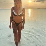Fanny Rodrigues Instagram - 🐢: 𝑂 𝑚𝑎𝑖𝑜𝑟 𝑒𝑛𝑠𝑖𝑛𝑎𝑚𝑒𝑛𝑡𝑜 𝑑𝑎 𝑡𝑎𝑟𝑡𝑎𝑟𝑢𝑔𝑎 é: 𝑚𝑒𝑠𝑚𝑜 𝑞𝑢𝑒 𝑑𝑒𝑣𝑎𝑔𝑎𝑟, 𝑠𝑖𝑔𝑎 𝑒𝑚 𝑓𝑟𝑒𝑛𝑡𝑒… 𝑜 𝑖𝑚𝑝𝑜𝑟𝑡𝑎𝑛𝑡𝑒 é 𝑎 𝑝𝑒𝑟𝑠𝑖𝑠𝑡ê𝑛𝑐𝑖𝑎! 𝐸𝑠𝑠𝑒 𝑎𝑛𝑖𝑚𝑎𝑙 é 𝑢𝑚𝑎 𝑐𝑟𝑖𝑎𝑡𝑢𝑟𝑎 𝑞𝑢𝑒 𝑡𝑟𝑎𝑛𝑠𝑚𝑖𝑡𝑒 𝑠𝑎𝑏𝑒𝑑𝑜𝑟𝑖𝑎 𝑝𝑜𝑖𝑠, 𝑖𝑛𝑠𝑡𝑖𝑛𝑡𝑖𝑣𝑎𝑚𝑒𝑛𝑡𝑒, 𝑠𝑎𝑏𝑒 𝑎 ℎ𝑜𝑟𝑎 𝑑𝑒 𝑠𝑒 𝑟𝑒𝑐𝑜𝑙ℎ𝑒𝑟 𝑜𝑢 𝑑𝑒 𝑠𝑒 𝑎𝑡𝑖𝑟𝑎𝑟 𝑒𝑚 𝑢𝑚𝑎 𝑠𝑖𝑡𝑢𝑎çã𝑜. 💚