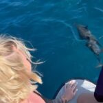 Fanny Salvat Instagram - Une story des Maldives ! 😍❤️ #maldive #dauphins #sunset #travel