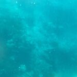 Fanny Salvat Instagram - Welcome to Maldives with @kandima_maldives 🐚 Ça fait rêver non ? 🫣 #maldives #kandima #travel