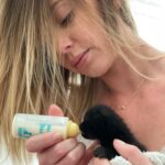 Fanny Salvat Instagram - Maman de substitution ! 🐱.
