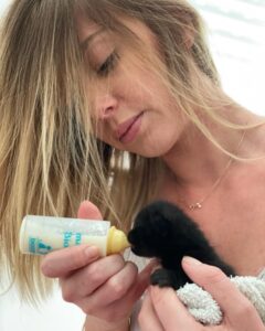 Fanny Salvat Instagram - Maman de substitution ! 🐱.