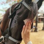 Farnaz Shetty Instagram - Embrace . . . . . . . . . . . . . #love #horse #favourite #touched #soul #tender #loyal #royal #black beauty #lovely #embrace