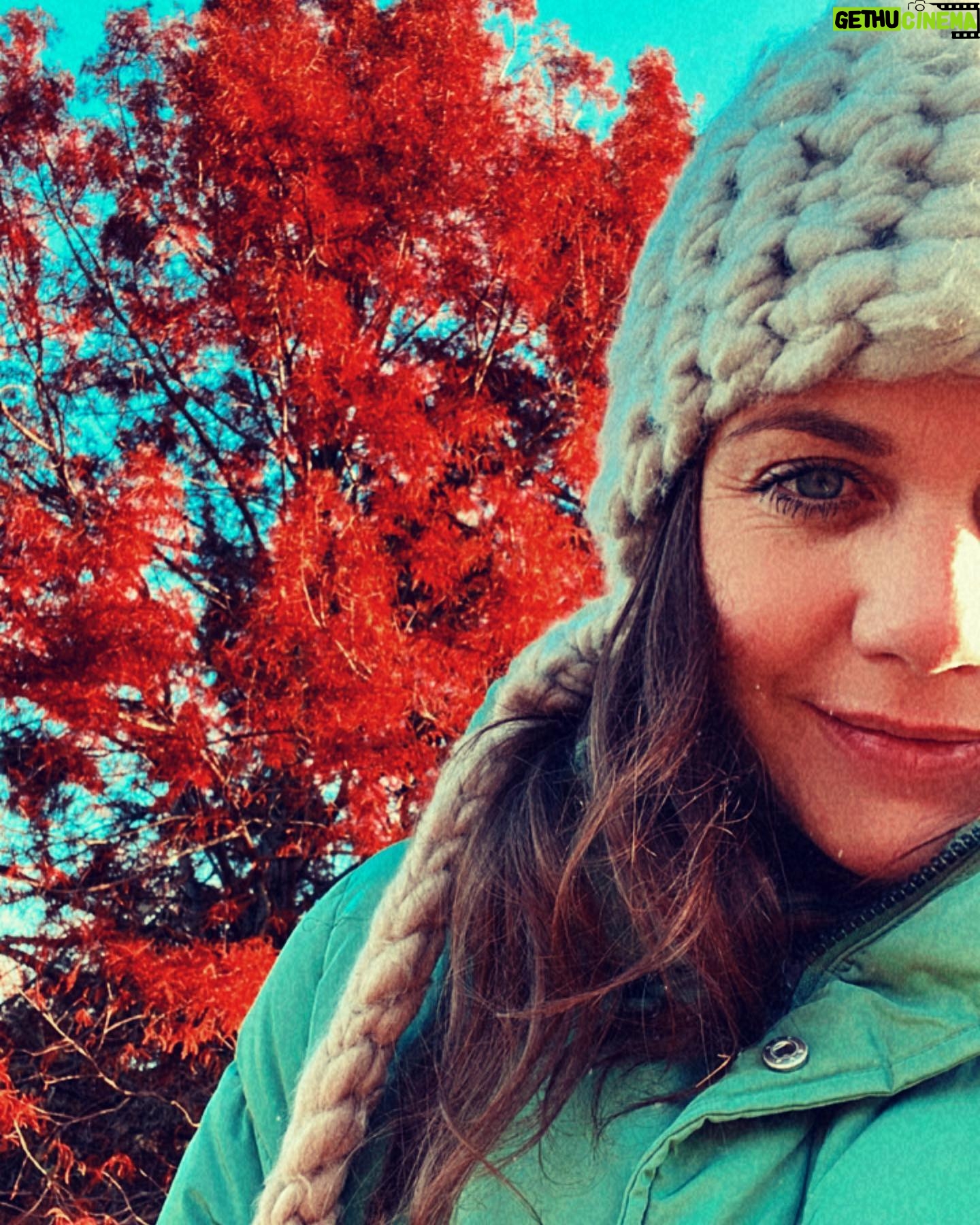 Felicitas Woll - 4.4K Likes - ❄️🌳🍁 „Es ist das Leben des Kristalls, der Architekt der Flocke, das Feuer des Frosts, die Seele des Sonnenstrahls. Diese frische Winterluft ist voll davon.“ (John Burroughs)