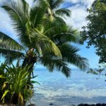 Felicity Palmateer Instagram - Better than a poke in the eye with a sharp stick 🌴🌅🩵💎🌈🌊🍇🥑🥥🏝️🤿