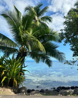 Felicity Palmateer Instagram - Better than a poke in the eye with a sharp stick 🌴🌅🩵💎🌈🌊🍇🥑🥥🏝️🤿
