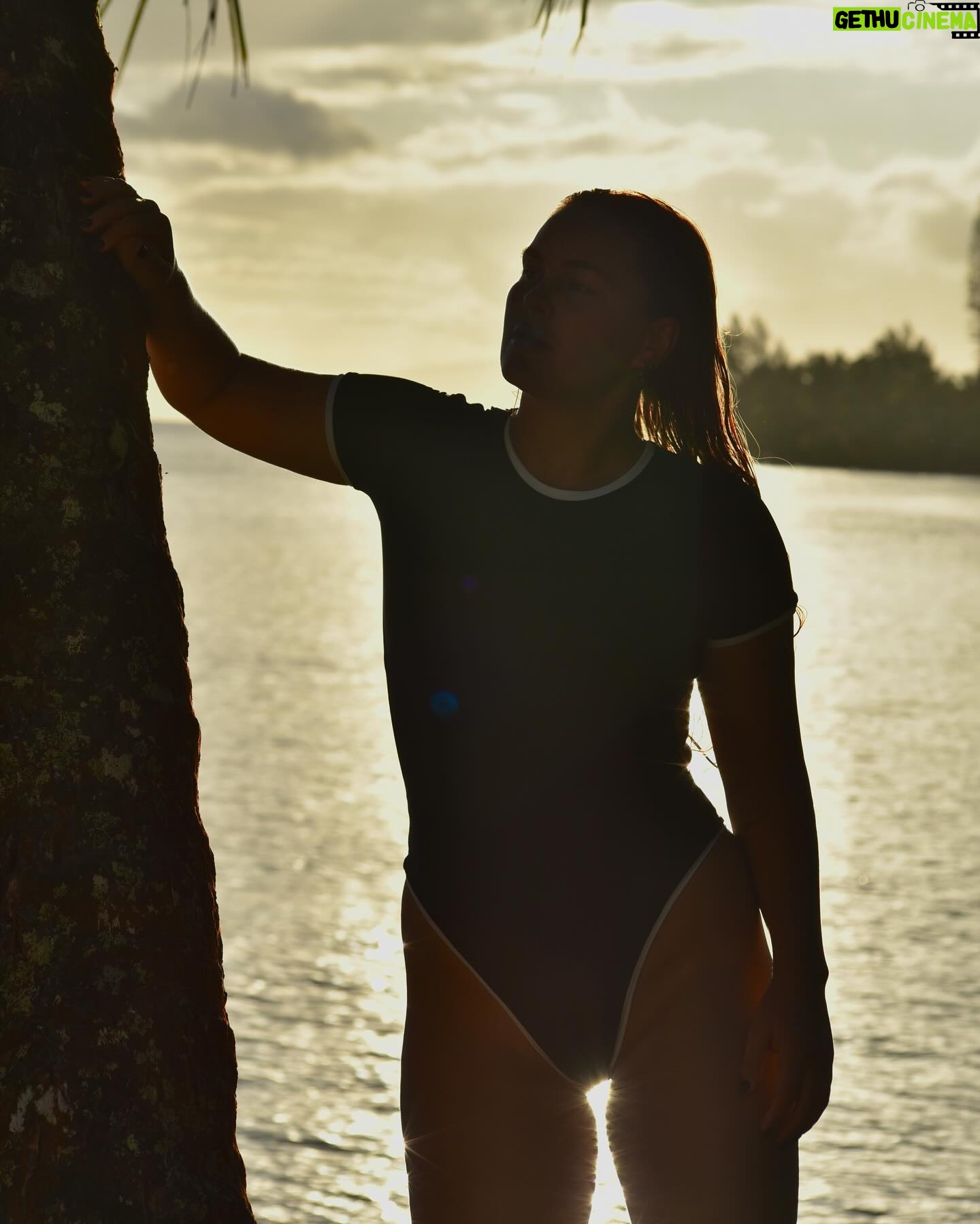Felicity Palmateer Instagram - I’ve never seen a sunset I didn’t like 🌅 // photos @kodakkit