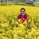 Femina George Instagram - Sonmarg 🏔️, Sind River 🏞️, Mustard Field 🌼 #kashmirtourism #feminageorge #sonmarg #snow #firsttime #vacation #family