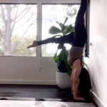 Fernanda Machado Instagram - Feliz dia internacional da yoga!!! Namaste! 🙏🏻 Muita gratidão por essa prática que é terapia pro corpo, mente e alma, e tem o poder de cura pra mim, e pra muitas pessoas mundo a fora. A yoga sempre me traz harmônia todas as vezes que o desequilíbrio bate e estou prestes a desmoronar. Não vivo sem, não importa o quanto a vida esteja corrida, minha prática diária é sagrada. Nesse último mês a yoga me salvou, como sempre me salva já há anos. Muita gratidão por todos os meus professores de yoga que me guiam já há tantos anos e fazem parte da minha vida! Thank you, thank you! Namaste!!!! 🙏🏻🙌🏻 #diainternacionaldayoga #internationalyogaday #namaste #yoga #terapiacorpomentealma #gratitude