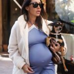 Fernanda Romero Instagram - Carrying my 2 babies 👶🏼🐶 Always on the go.. Siempre inquieta embarazada o no de arriba para abajo. - - - - - - - - #pregnancy #pregnant #baby #newborn #motherhood #maternity #love #babygirl #momtobe #babyboy #momlife #family #babyshower #birth #babybump #mom #weekspregnant #babies #maternityphotography #postpartum #photography #pregnantbelly #mumtobe #fernandaromero #maternityshoot #parenting #pregnancyannouncement #mama #infertility #commense