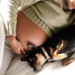 Fernanda Romero Instagram - Is it true that dogs can sense something is happening when we're pregnant? They definitely have a keen sense of smell and may become more protective, leading to a stronger bond. Take a look at the second picture; I have no words… you guys tell me.. 😂 is this going to be a forever LOVE? 🥰🤍🐶 Outfit by @zara Comfy sheets @pact These are truly the@most cozy and soft sheets EVER to cuddle. 📸 @anastasiatamarina
