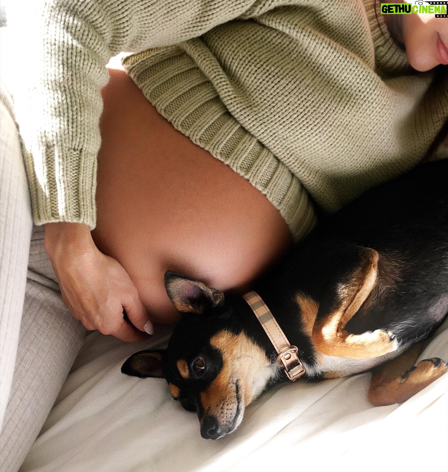 Fernanda Romero Instagram - Is it true that dogs can sense something is happening when we're pregnant? They definitely have a keen sense of smell and may become more protective, leading to a stronger bond. Take a look at the second picture; I have no words… you guys tell me.. 😂 is this going to be a forever LOVE? 🥰🤍🐶 Outfit by @zara Comfy sheets @pact These are truly the@most cozy and soft sheets EVER to cuddle. 📸 @anastasiatamarina