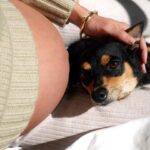 Fernanda Romero Instagram – Is it true that dogs can sense something is happening when we’re pregnant? They definitely have a keen sense of smell and may become more protective, leading to a stronger bond. Take a look at the second picture; I have no words… you guys tell me.. 😂 is this going to be a forever LOVE? 
🥰🤍🐶

Outfit by @zara 
Comfy sheets @pact 
These are truly the@most cozy and soft sheets EVER to cuddle.

📸 @anastasiatamarina