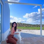 Filipa Nascimento Instagram - Nos últimos dias conseguimos respirar e desacelerar, num lugar lindo onde somos todos bem-vindos 🤍🐶