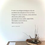 Filipa Nascimento Instagram - Nos últimos dias conseguimos respirar e desacelerar, num lugar lindo onde somos todos bem-vindos 🤍🐶