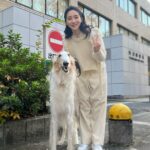 First Summer Uika Instagram - 日本郵政グループさんの CMに出演しております〜！🏣 シリーズ第2弾！ コットンの西村さんと、またまたボルゾイちゃんと！🐶 #日本郵政