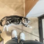 Fish Leong Instagram – ｜
HEY
you
IT’s YOU 🏷️