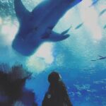 Fish Leong Instagram - - 藍色的勇氣. .