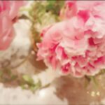 Fish Leong Instagram -