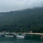 Flora Coquerel Instagram – Ilha Grande 🍃🇧🇷
