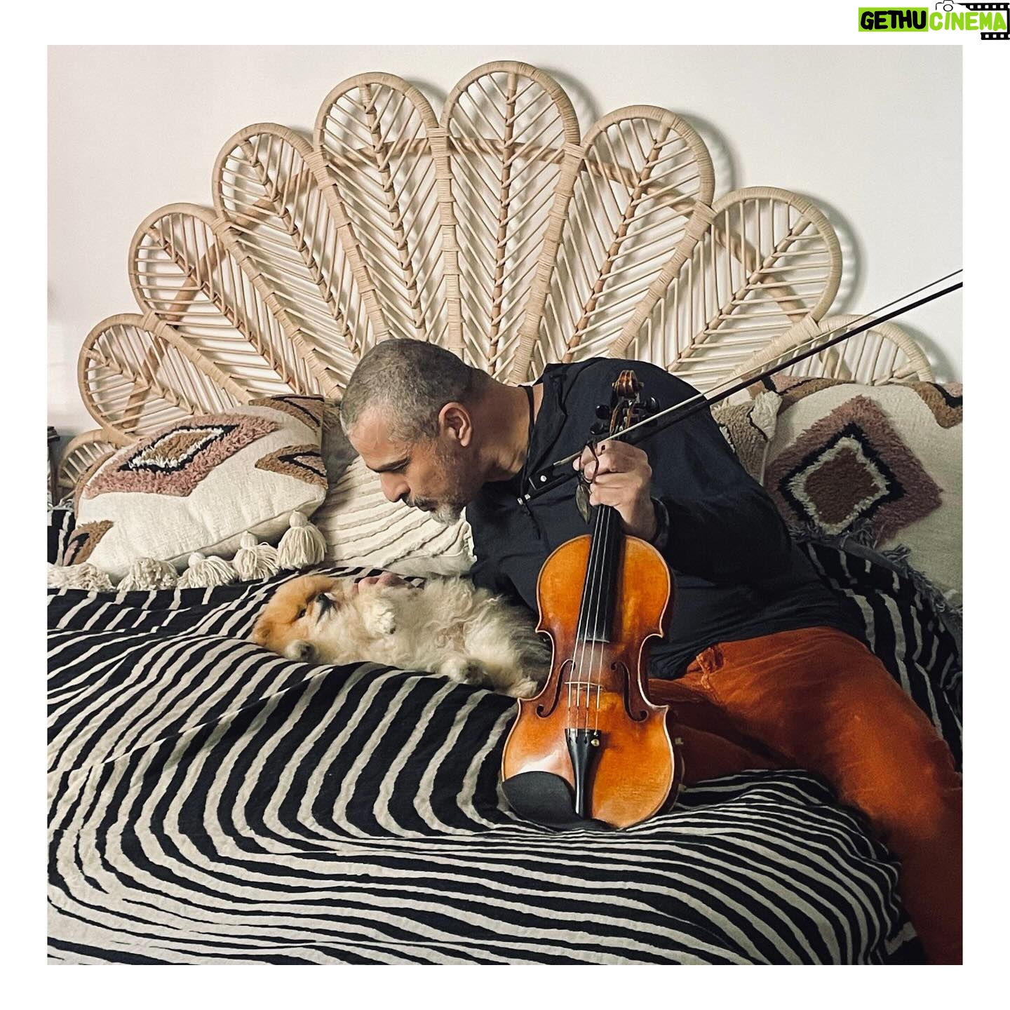 Frédérique Bel Instagram - Back home ! #JocazeDog love musique … and talented musician 🧐😍🥰 @laurentkorcia @anjalinder_harpist #Paris