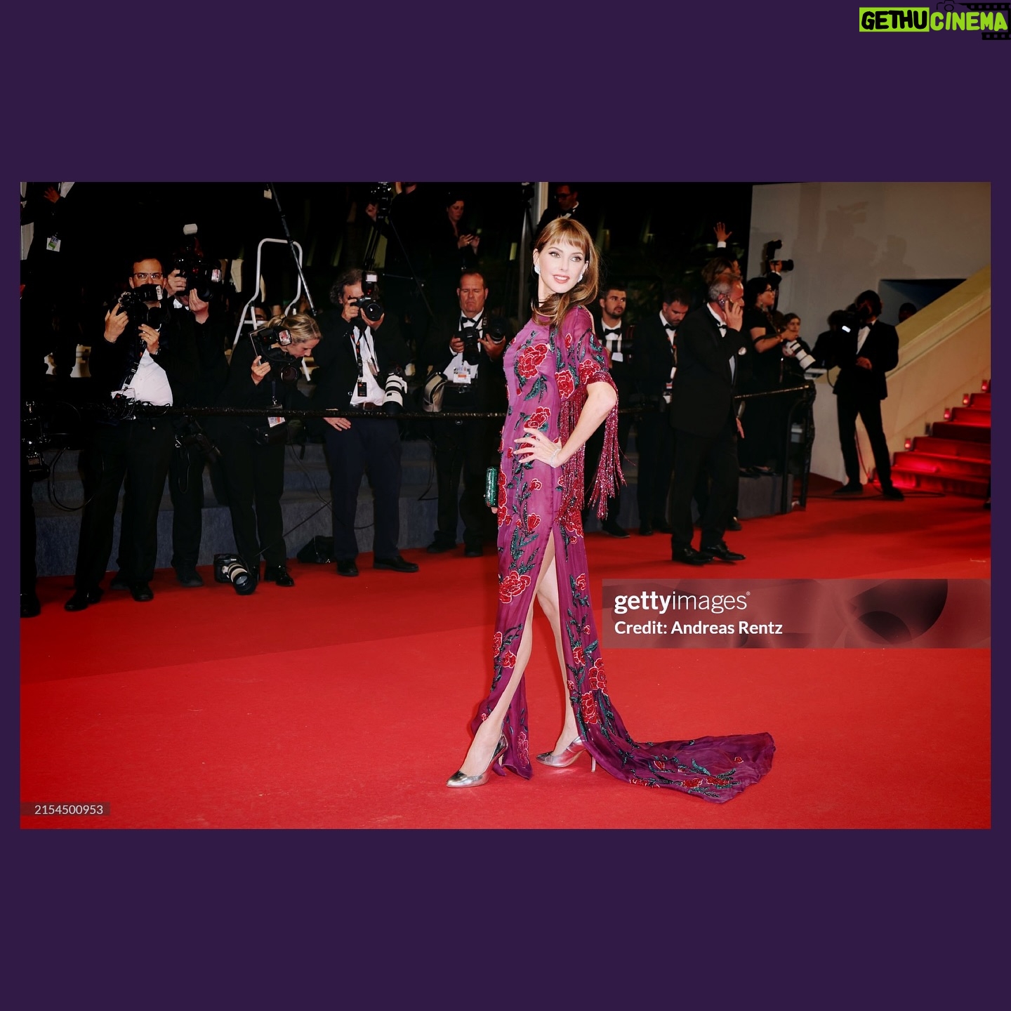Frédérique Bel - 6.7K Likes - Sur le red carpet de ce merveilleux festival de Cannes @elioaboufayssal @helenajoyjewelry @judithleiberny @giorgiaviolacom #HauteCouture #redCatpet #festivalDecannes2024 #cannesfilmfestival#cannes #cannesfilmfestival2024 💎 #redcarpetfashion #luxe #InstaLook #lookbook #instaFashion #fashionblog #fashionpost #fashionaddict #instagood #ootd #ootd #ootdfashion #ootdshare #mode #brunette #actress #frenchactress #Actress #Actrice #actricefrancaise #comedienne