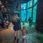 Francesca Eastwood Instagram -