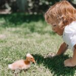 Francesca Eastwood Instagram - Magical little creatures
