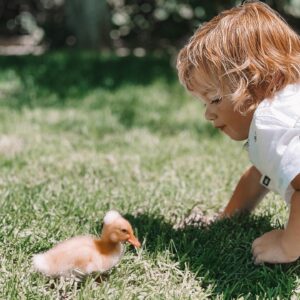 Francesca Eastwood Instagram - Magical little creatures