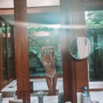 Francesca Eastwood Instagram -