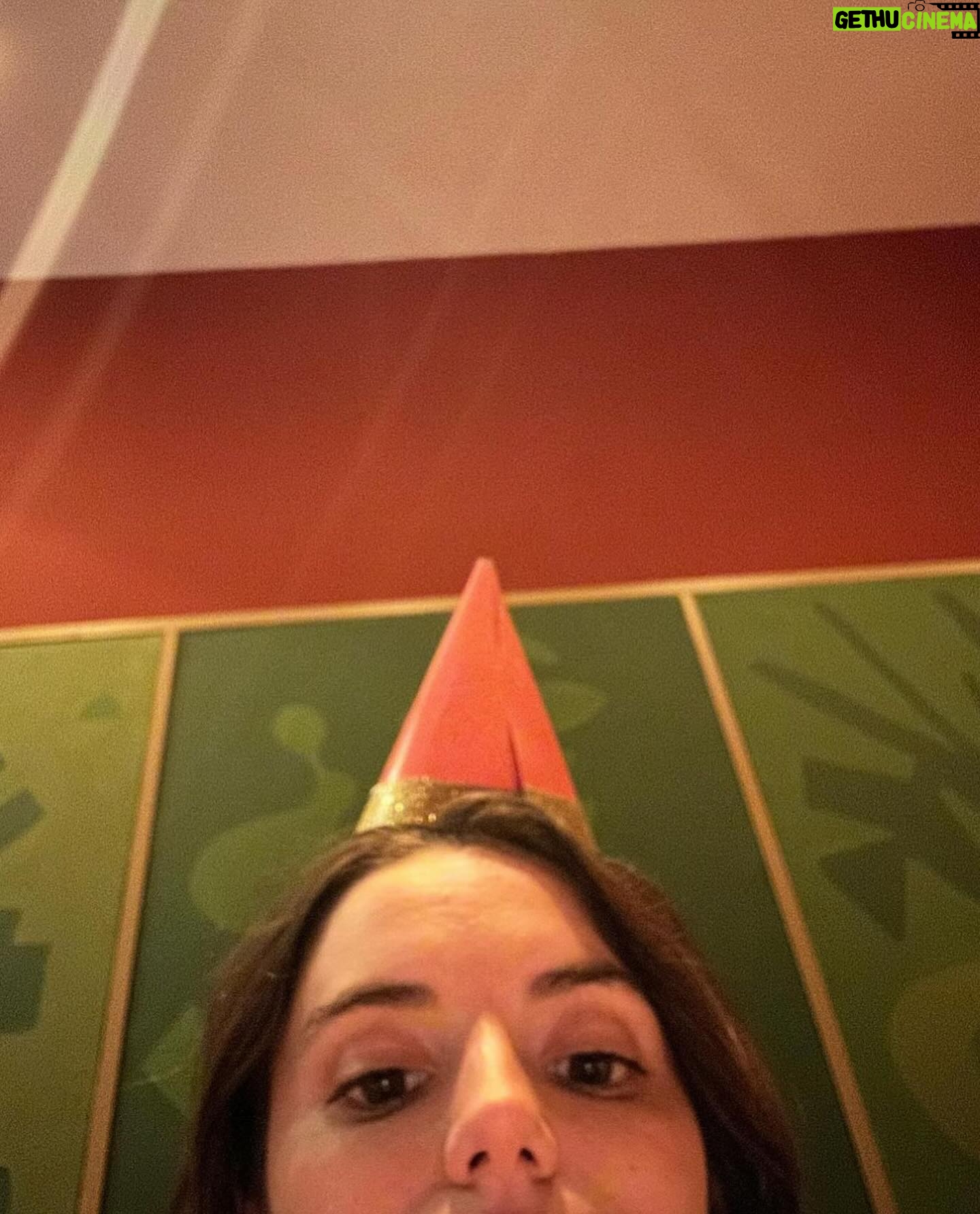 Francesca Reale - 8.8K Likes - The year through front camera photos of my face 😘🥂 - happy holidays!