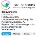 Francisca García-Huidobro Instagram - Siempre me preguntan, “En qué lugar dejas a tus perros cuando viajas o pasas mucho tiempo fuera de tu casa?” Aquí está la respuesta: Mis perros (Victor y Patico) son inmensamente felices desde el momento en que los vienen a buscar. Me mandan fotos y videos todo el tiempo para saber que están bien. Mis perros son súper inquietos y el espacio que tengo en mi casa no es tan grande como para que liberen toda su energía asique mandarlos a @doggylandchile ha sido la mejor decisión. Se los recomiendo 100%