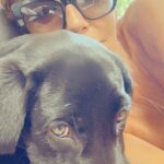 Francisca García-Huidobro Instagram - Qué haces en un mall??? Comprando regalos de navidad? Aquí está el mejor regalo que puedes darle/darte este año... Adopta un/a perro/a..... no represento a ninguna fundación ni nada, sólo soy una afortunada que recibió a La Patico y tengo que decirles que es el mejor regalo que he recibido. Feliz Navidad para tod@s @moniveterinaria