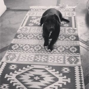 Francisca Gavilán Instagram - Rosa, hermosa perrita amada, llegaste en el momento mas oportuno de nuestras vidas hace 12 años, te fuiste en el momento menos esperado, pero llena de amor y acompañada de nosotros, gracias, gracias por todo 🌹fuiste una gran perra, compañera fiel de mis hijos y mía , del Vali también. Te echaremos mucho de menos, te amamos Rosa, La Rosa 🥹❤️❤️❤️‍🩹
Logramos ser buenas viejas amigas 💫✨♾️
Buen viaje Rosita………
Fotos de los niños Joaquín y Simón y mías.