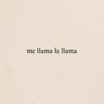 Francisca Valenzuela Instagram - no puedo estar bien. necesito el BORDE 🔥 JUGANDO CON FUEGO 🔥 Nuevo Lyric Video. Ya disponible en youtube x Frantastic Records 2024. ❤️‍🔥 CRÉDITOS ❤️‍🔥 Video por @lorettacastelletto Texto y dibujos por Isabella Morel y yo :) Fotos x @paolavelasquezdiaz Styling @babyv4mp @amandaych8 @catafernandez2k Makeup @nikiossandon Pelo @viersaez Uñas @isihennig