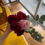 Francisca Valenzuela Instagram - ❤️🧡🩷💛💚🩵💙💜🤍🌈🌈🌈🌸🌸💐💐💐💐🍦🍦🍧🍧🍧🕶️🕶️🕶️🕶️💝💝💝🤎🤎🤎