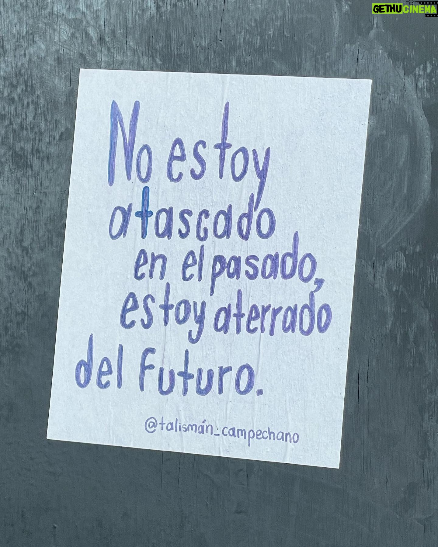 Francisca Valenzuela Instagram - β€οΈπ§‘π©·πππ©΅πππ€ππππΈπΈπππππ¦π¦π§π§π§πΆοΈπΆοΈπΆοΈπΆοΈππππ€π€π€