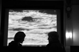 Francisca Walker Instagram - Se viene esta maravilla...
Película 'DETRAS DE LA LLUVIA' idea y dirección de Valeria Sarmiento

Productora de Cine: POETASTROS
🎬www.poetastros.com

Fotografía Fija: Pepe Guzmán