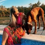 Franziska Böhler Instagram - Ein Leben ohne Hund ist möglich - aber komplett sinnlos✨ #paresliebe ✨ …ich würde mich IMMER wieder für einen Ridgie entscheiden ✨ Welche Rasse hat euer bester Freund? ✨ #hunde #hundeliebe #dogs #dog #hund #dogsofinstagram #hundefotografie #hundeaufinstagram #hundeleben #doglover #rhodesianridgeback #dogstagram #instadog #dogoftheday #dogphotography #doglife #doglove #puppy #hundefreunde #love #hundeblick #hundewelt #ridgeback #doglovers #ilovemydog #besterfreund #instagram #hundeblog #hundefoto