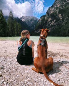Franziska Böhler Instagram - Wenn der Teenie größer ist als DU✨ #pares Mein bester Freund …mein Lebensretter…. (…das zweite Buch kommt….✨) Grüße aus Südtirol ✨ #berge #dolomiti #dolomiten #bergliebe #familie #urlaub #dog #dogoftheday #dogsofinstagram #ridge #ridgeback #rhodesianridgeback #urlaubmithund #ziemlichbestefreunde #auszeit #wandern #familytime #natur #mountains #liebe