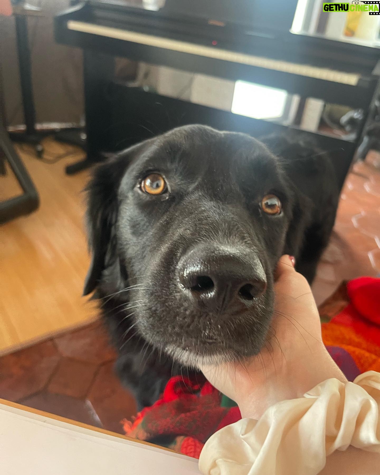 Freya Ridings Instagram - Such a beautiful weekend in Mexico 🇲🇽🌴 Writing new songs with the amazing @tobygadmusic ✍️ 🎶