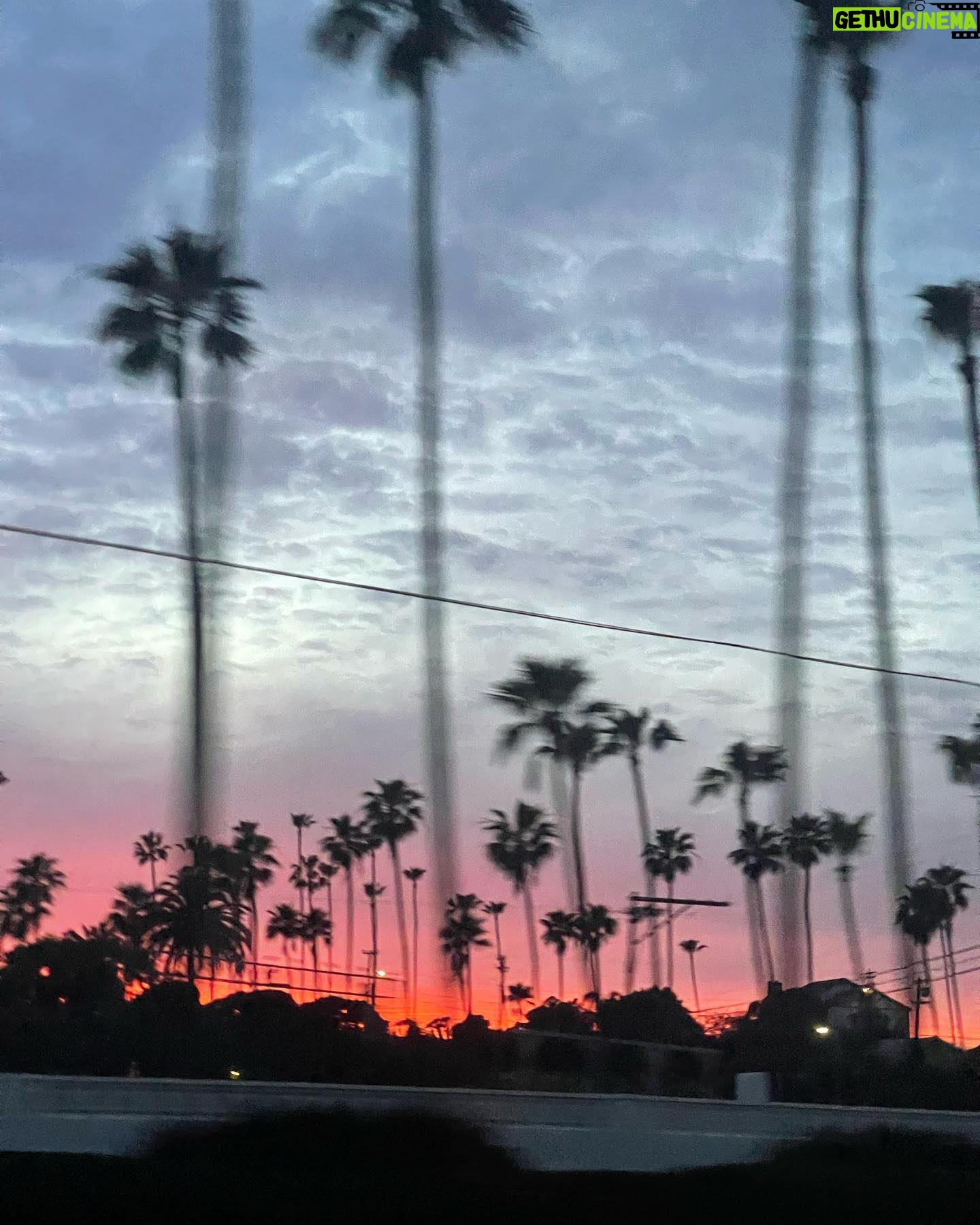 Freya Ridings Instagram - Such a beautiful weekend in Mexico 🇲🇽🌴 Writing new songs with the amazing @tobygadmusic ✍️ 🎶