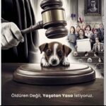 Funda İlhan Instagram -