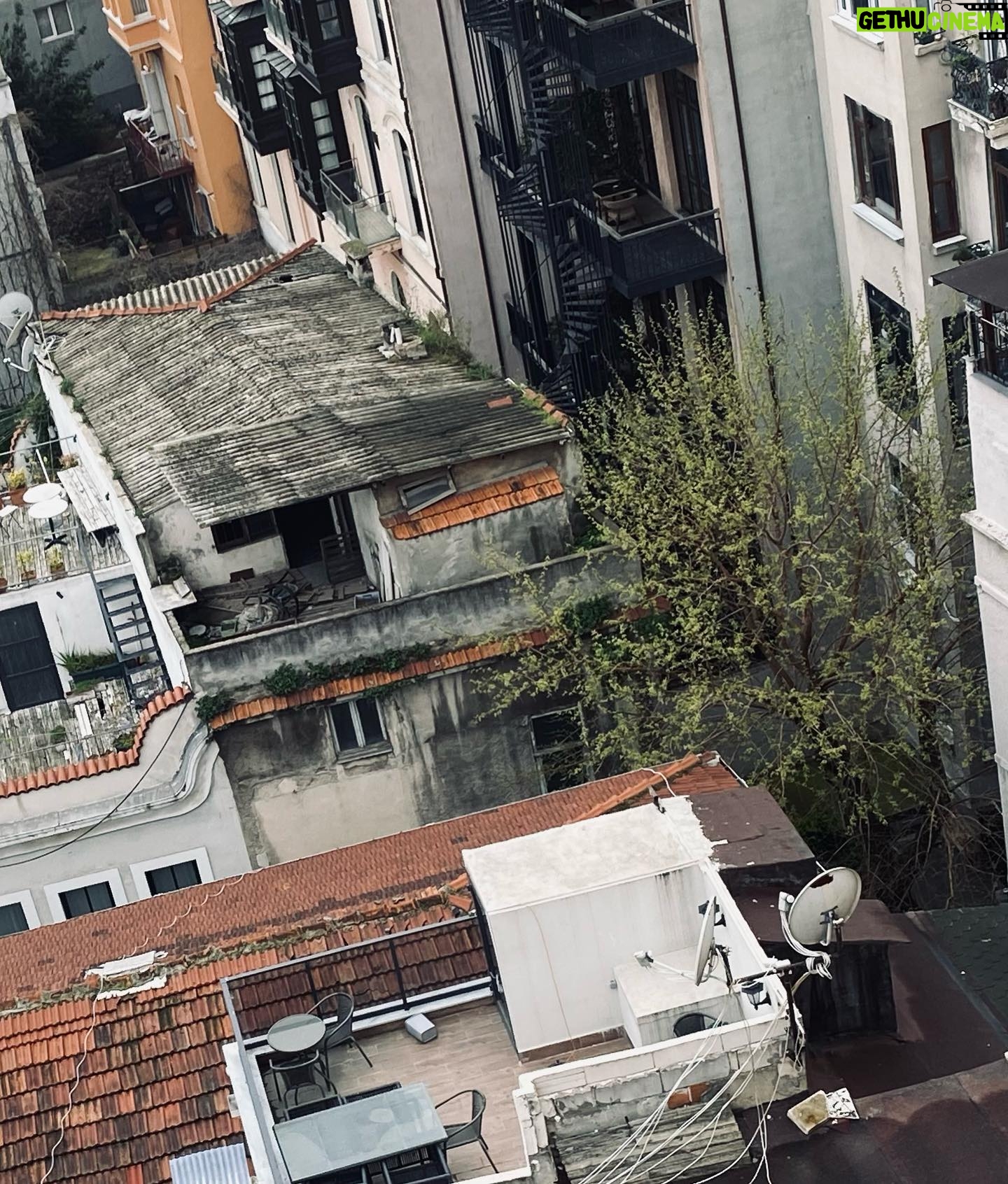 Funda Eryiğit - 32.7K Likes - bu sabah.