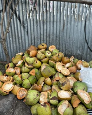 Gözde Cığacı Instagram - 🥥 

#whatever 

#bali #indonesia #youngcoconut 
#handmade #temple

Rasta ve örgü @rastaisleri 🤍
Çantam @hope.fuldreams