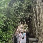 Gözde Cığacı Instagram - İçimiz ısınsın 🥲 2.videomun adı “Bali’de Belly” ses açın pls #bali #ubud #youngcoconut #bellydance #monkey