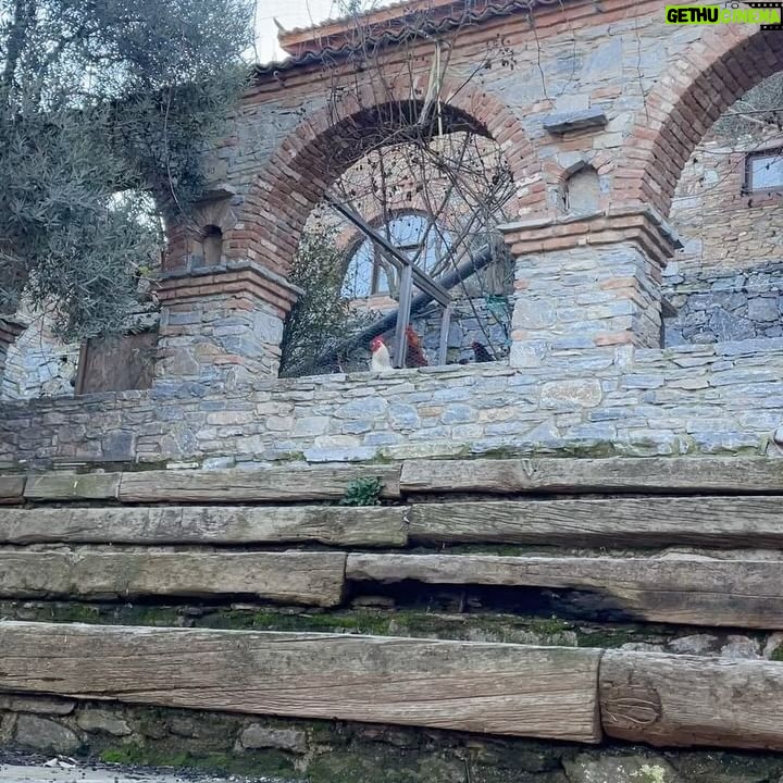 Gözde Cığacı Instagram - Kelimelere henüz dökmeye bile kıyamadığım “ilk” ler yaşadım…öyle bi his ki bunun sonu yok biliyorum.Kendimle yüzleştiğim,reddedip pes etmek isterken kendime inancımın hep körüklendiği bi kamptı…Ben ayaklarım yere basıyor sanmışım,ben aşık oldum sanmışım ve ben nefes aldığımı zannetmişim… Sizi benim yoluma çıkaran her şeye şükür ve Teşekkür 🙏🏻 @mustafatoltek @cigayoga @kentligurular Ağlamakta bizdendi,katılarak gülmekte ve tabi orda bulunan herkes de (: hepimiz bir iz 🤍 “Yüreğimiz kıymet bilene emanet” Mevlânâ Celâleddîn-î Rûmi