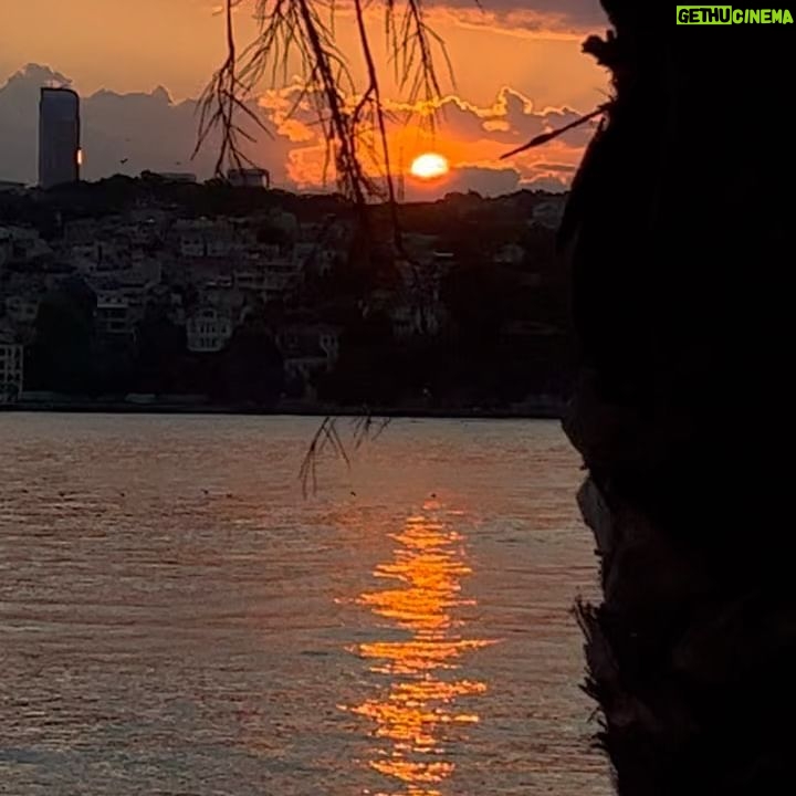 Gülşen Bubikoğlu - 7.9K Likes - Günbatımı🧡
