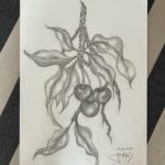 Gülşen Bubikoğlu Instagram - 🍒 zamanı ✏️
