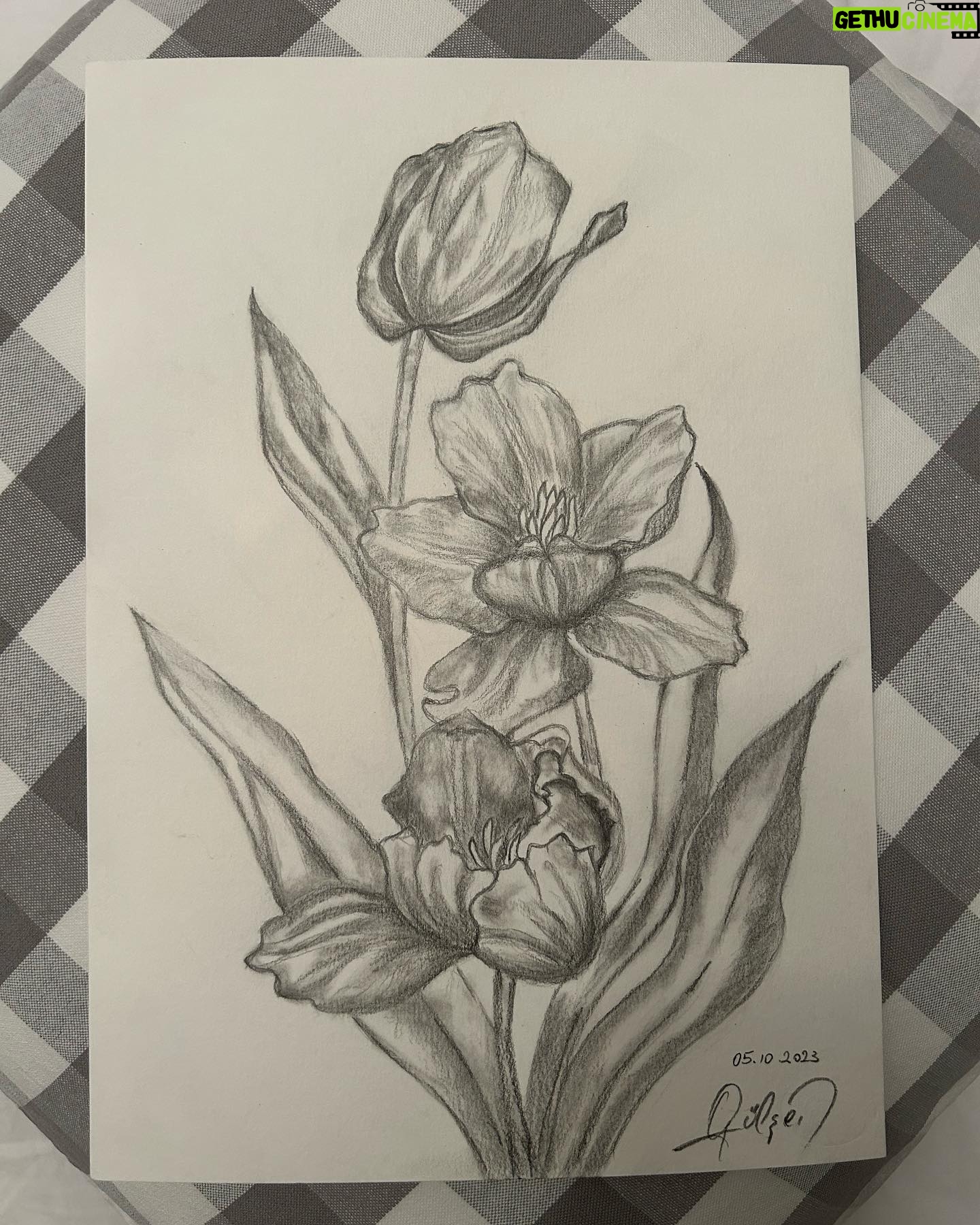 Gülşen Bubikoğlu - 1.9K Likes - ✏️ bugün çalışkandım.. 😊